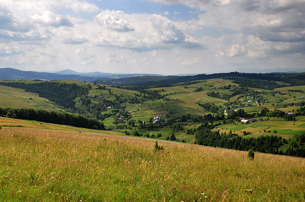 Dolina ukraińska